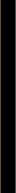 The artist